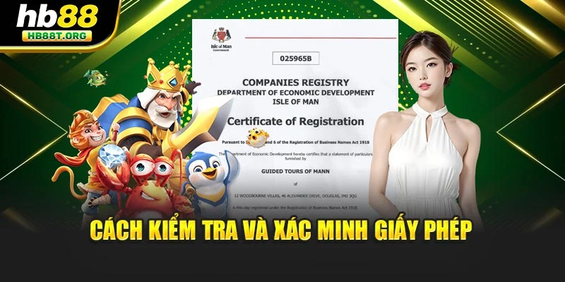 Cách kiểm tra và xác minh giấy phép