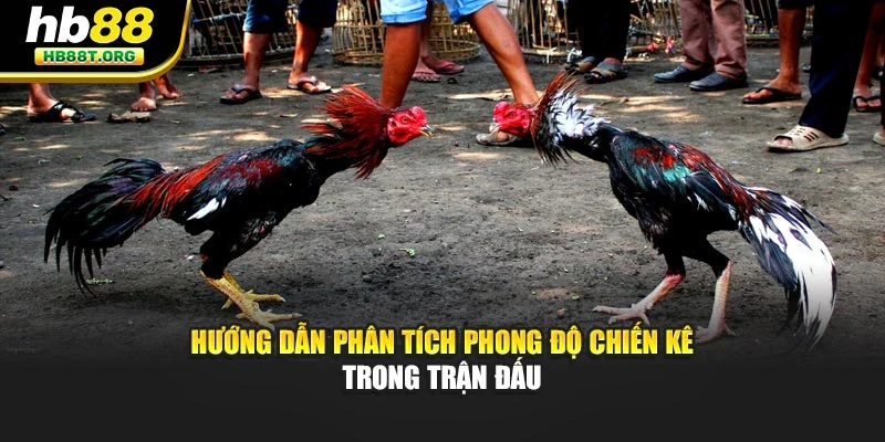 Hướng dẫn phân tích phong độ chiến kê trong trận đấu