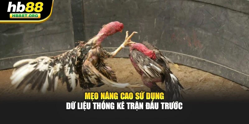 Mẹo nâng cao sử dụng dữ liệu thống kê trận đấu trước