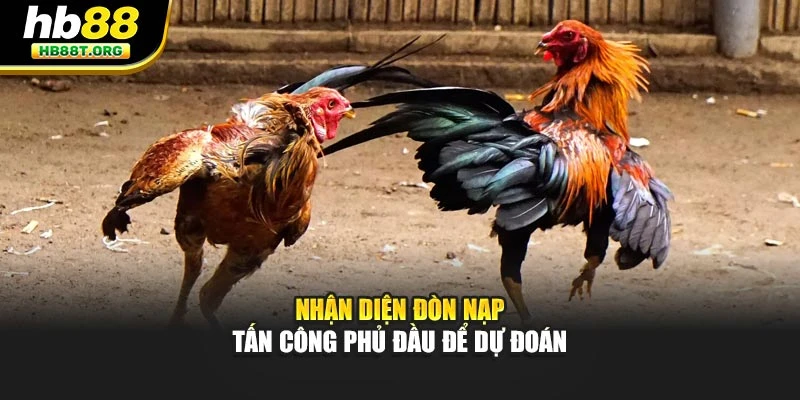Nhận diện đòn nạp – tấn công phủ đầu để dự đoán