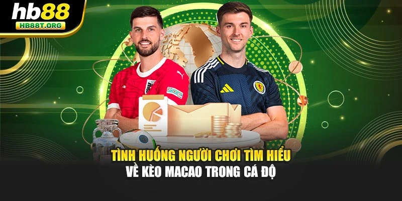 Tình huống người chơi tìm hiểu về kèo Macao trong cá độ